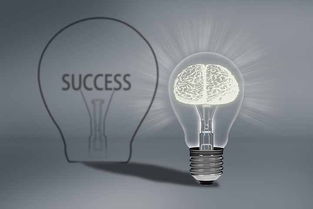 互联网经济下的网络营销新打法 杭州网络公司的转型与创新